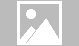 大熊猫吃竹子视频,竹海中的悠闲时光